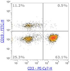 Anti-Human CD3 (SK7)，PE-Cy7 流式抗体 - 结果示例图片