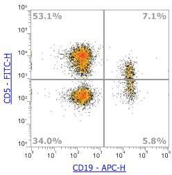 Anti-Human CD5，FITC (Clone: L17F12) 流式抗体 - 结果示例图片