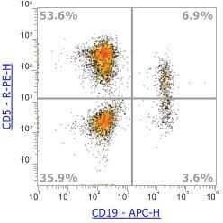 Anti-Human CD5，PE (Clone: UCHT2) 流式抗体 - 结果示例图片