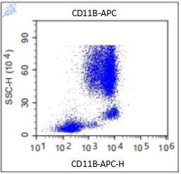 Anti-Human CD11b, APC （Clone: LT11）流式抗体 - 结果示例图片