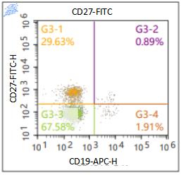 Anti-Human CD27, FITC (Clone: 09) 流式抗体 检测试剂