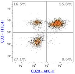 Anti-Human CD28 (CD28.2),APC 流式抗体 - 结果示例图片