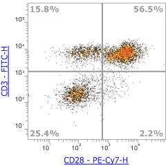 Anti-Human CD28 (CD28.2)，PE-Cy7 流式抗体 - 结果示例图片