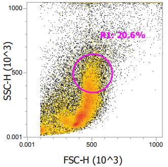Anti-Human CD71, FITC(Clone：OKT9) - 结果示例图片