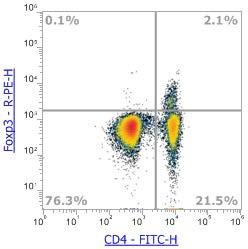 Anti-Human FoxP3, PE (Clone:PCH101)流式抗体 - 结果示例图片