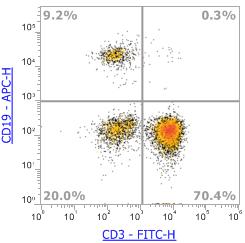 Anti-Human CD19 (SJ25C1)，APC 流式抗体 - 结果示例图片