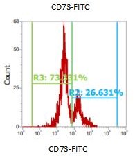 Anti-Human CD73, FITC （Clone: 07）流式抗体 检测试剂 - 结果示例图片