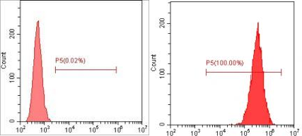 Anti-Human CD90, APC (Clone: 10) 检测试剂 - 结果示例图片