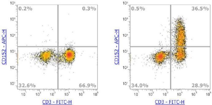 Anti-Human CD152 (CTLA-4)，APC (Clone: BNI3) 流式抗体 - 结果示例图片