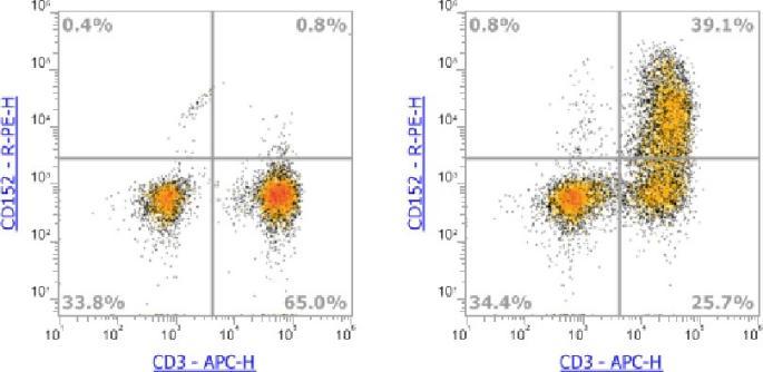 Anti-Human CD152 (CTLA-4)，PE (Clone: BNI3) 流式抗体 - 结果示例图片