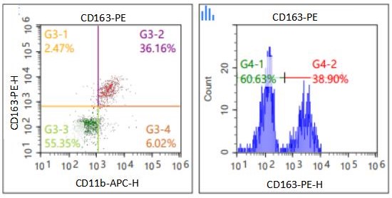 Anti-Human CD163, PE （Clone: R20）流式抗体 检测试剂 - 结果示例图片
