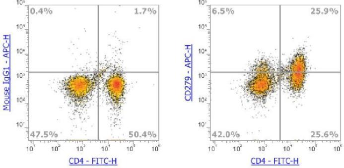 Anti-Human CD279 (PD-1),APC (Clone: J110) 流式抗体 - 结果示例图片
