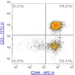 Anti-Human/Mouse CD44 ,APC(Clone:IM7)流式抗体 - 结果示例图片
