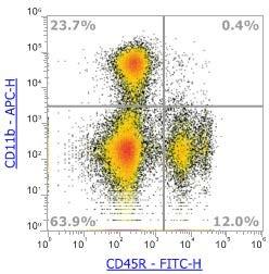 Anti-Human/Mouse CD45R (B220) (RA3-6B2)，FITC 流式抗体 - 结果示例图片